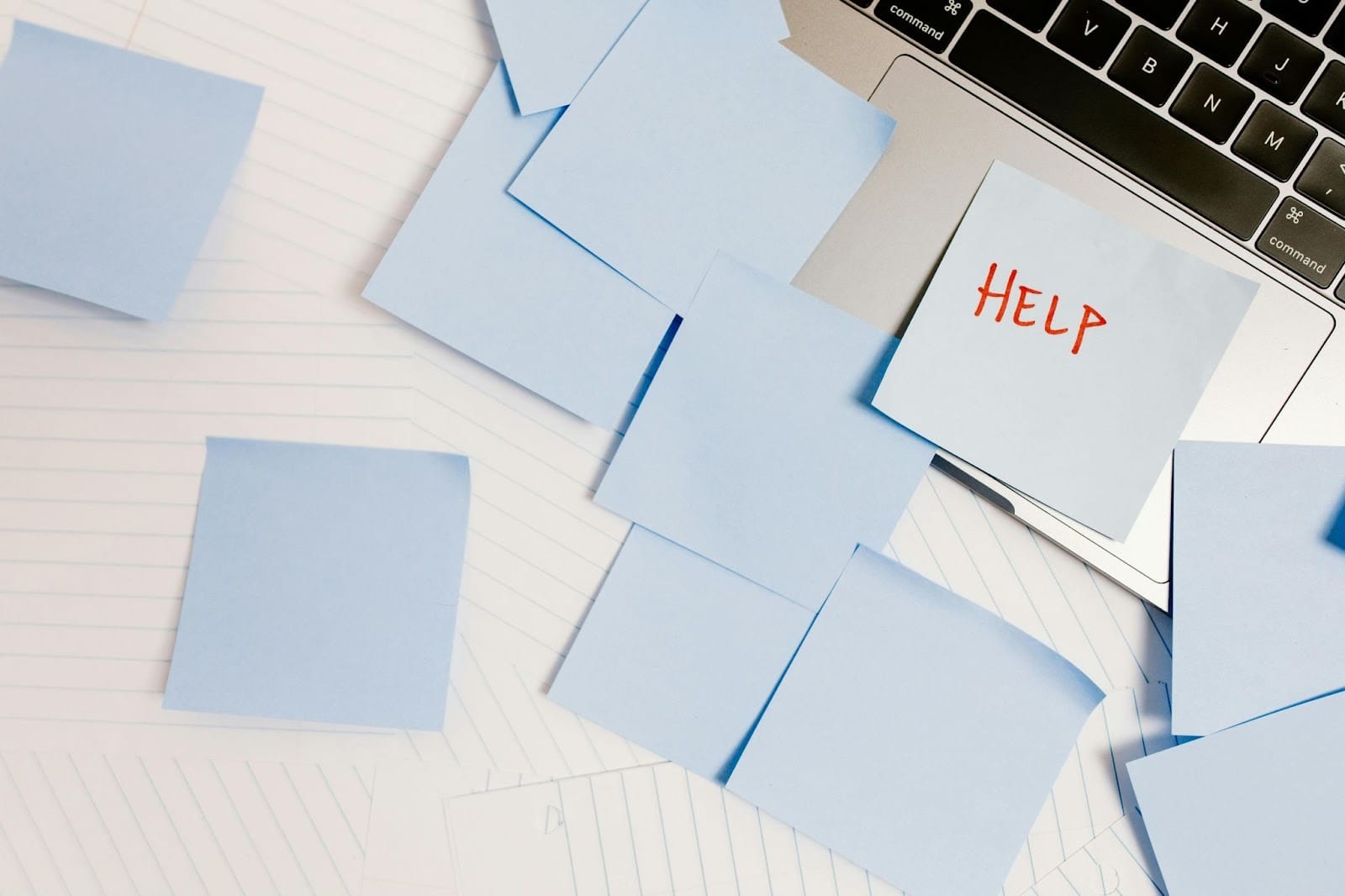 Read more about the article Zotero vs Mendeley: Set Up Citations the Smart Way